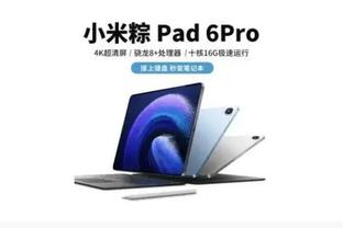 雷竞技有pc版吗截图0